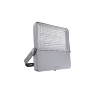 911401605807 BVP433 LED Floodlight -